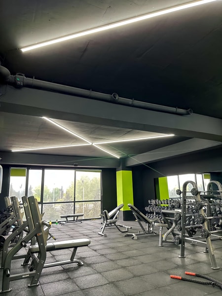 Matrix Fitness (Sarajishvili)