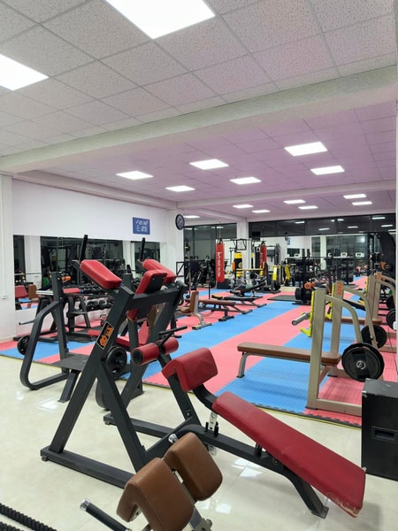 Didgori fitness