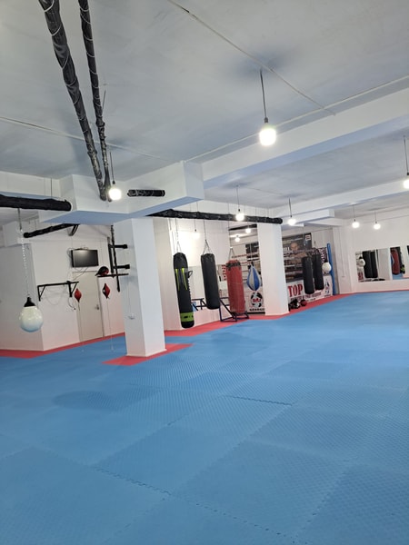 Boxing Club Wolf