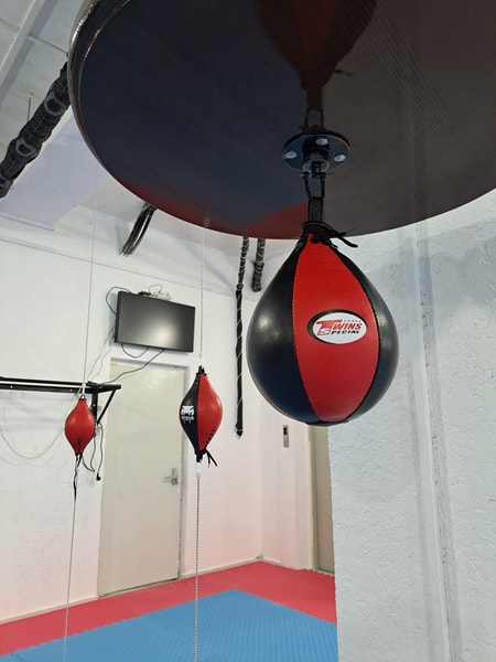 Boxing Club Wolf