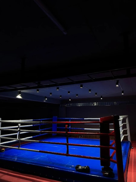 Boxing Time