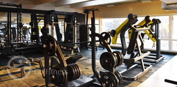 Go Fitness