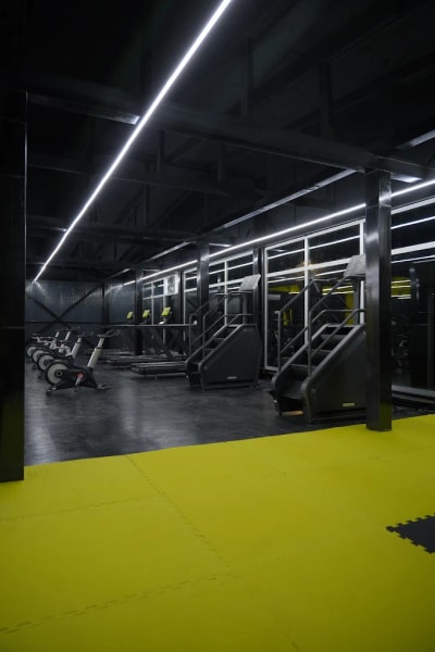 Mamber Fitness Telavi