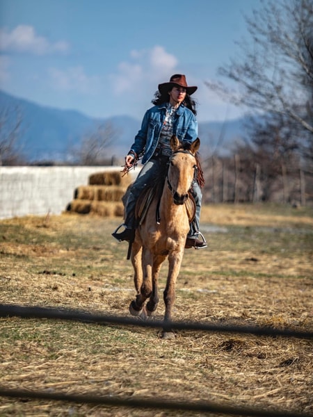 Palomino Ranch