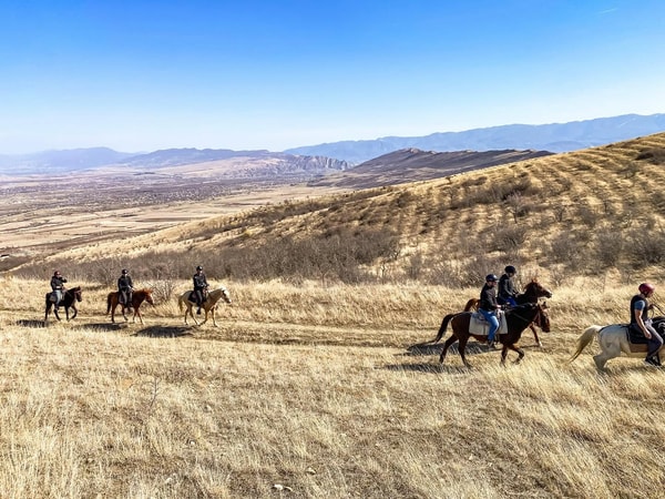 Palomino Ranch