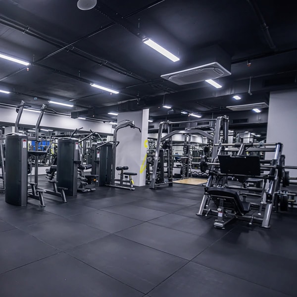 Element Fitness