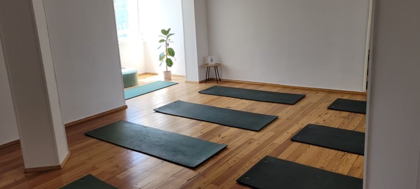 Kinesis and body shape (Tbilisi)