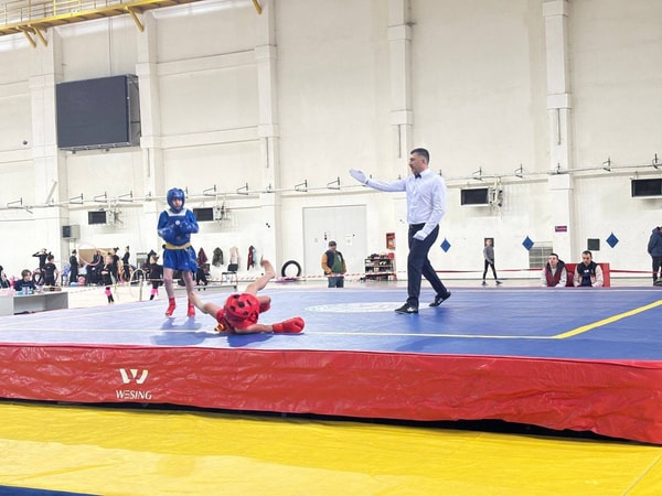 Tbilisi Wushu Federation