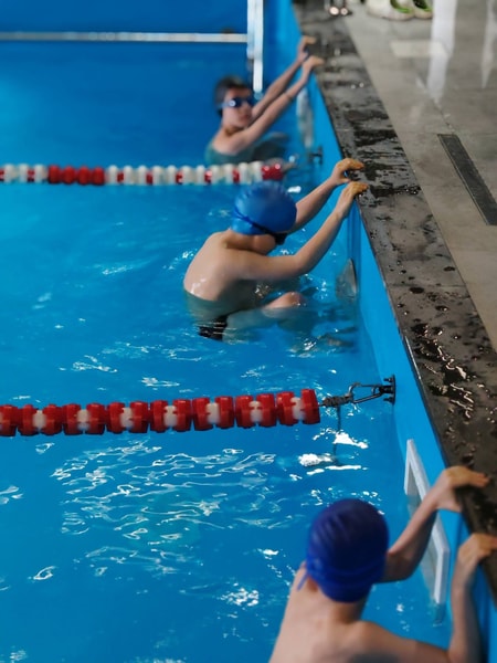 Flex Fitness Club